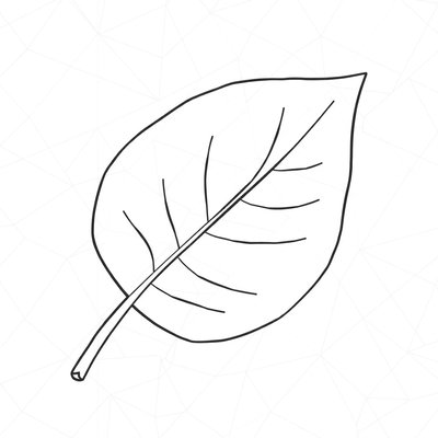 Szablon: Papierowy liść do wycięcia