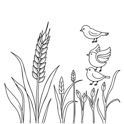 Kolorowanka: ziarna zbóż i ptaki