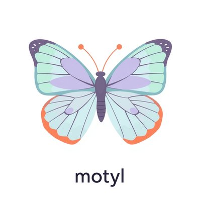 Karta: motyl (flashcard)