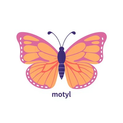Karta: motyl (flashcard)