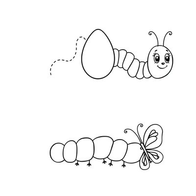 Kolorowanka: jajo, gąsienica, motyl (kontury)