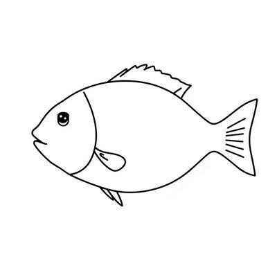Kontur ryby do naklejania łusek