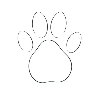 Szablon łapki misia — stempel i odcisk