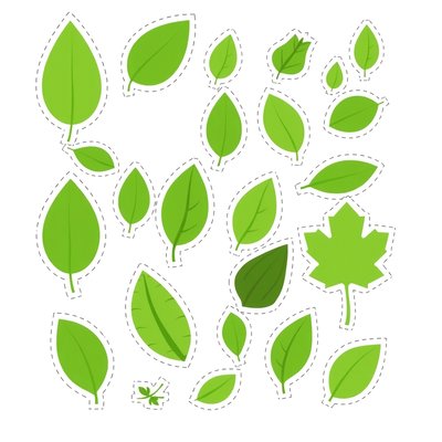 Arkusz liści do wycinania (różne rozmiary i odcienie)