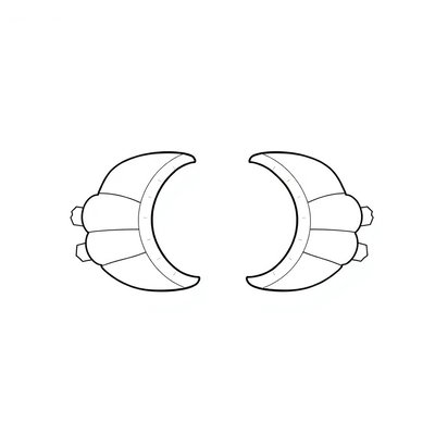 Szablon muszli — połówki skorupy (printable)