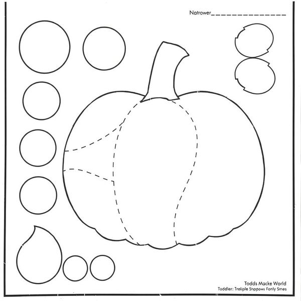 Szablony nasion i kształtów do przyklejania
