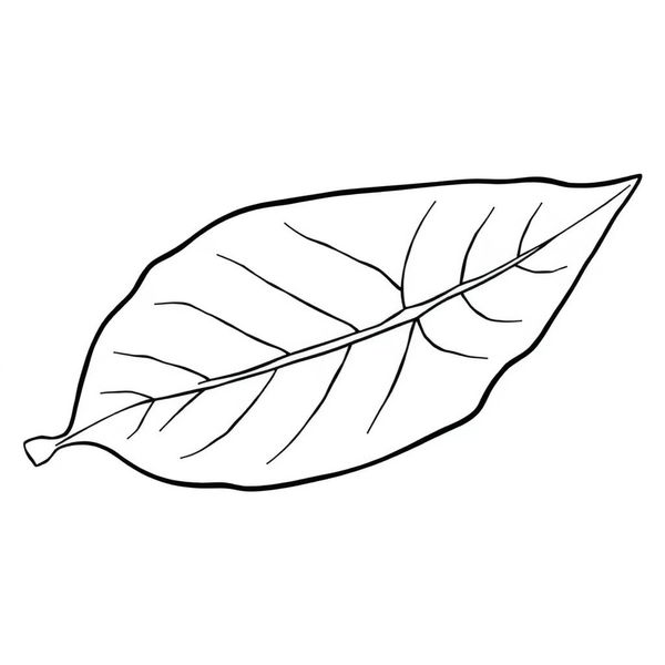 Kolorowanka: Liść z fakturą