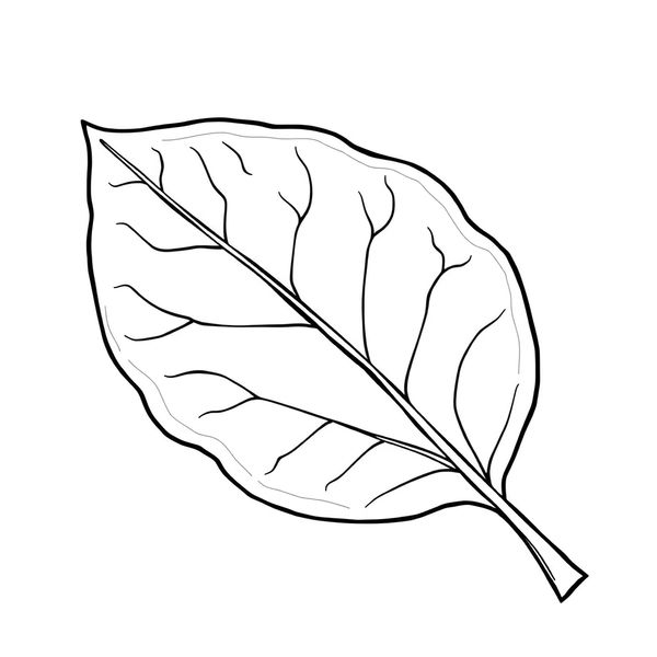 Kolorowanka: Liść z fakturą