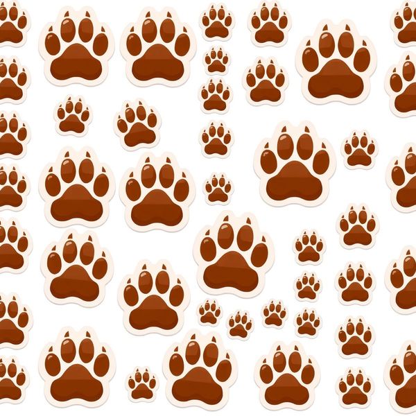 Arkusz naklejek: Łapki misia - Szablony - Dzień Niedźwiedzia