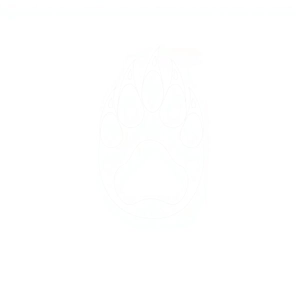 Szablon: Łapka misia (stempel) - Szablony - Dzień Niedźwiedzia