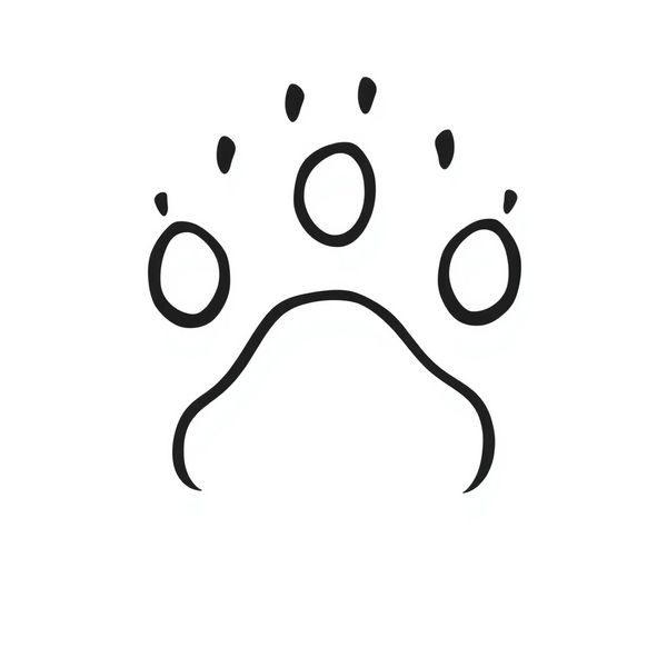 Szablon: Odcisk łapy niedźwiedzia - Szablony - Dzień Niedźwiedzia