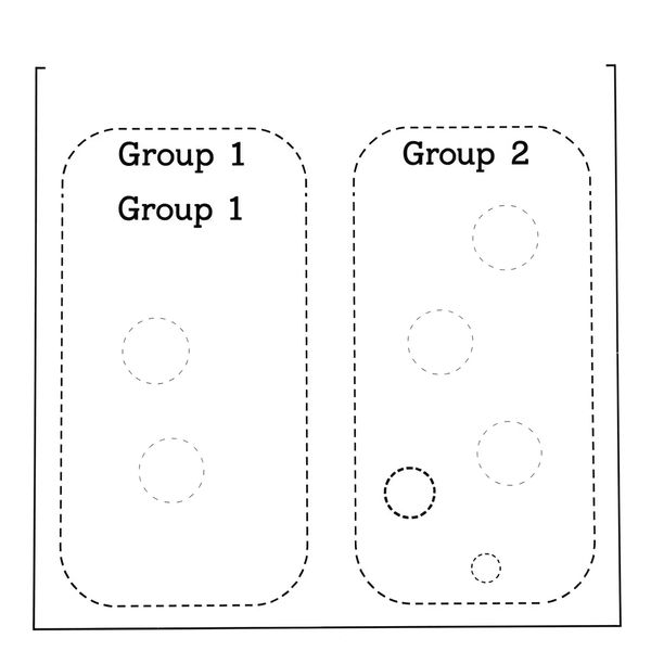 Szablon kartonika — puste pola