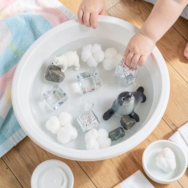 Sensoryczny basen „Arktyka” — zdjęcie stacji (widok z góry) - Materiały - Dzień Niedźwiedzia Polarnego