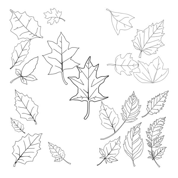 Szablony do pocieranek i odbitek liści (A4)