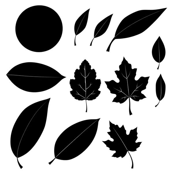 Szablony liści do wycięcia