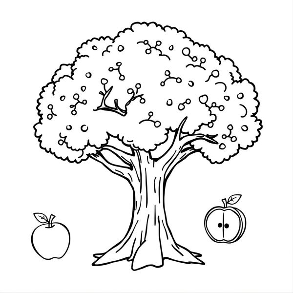 Kolorowanka: Drzewo i elementy