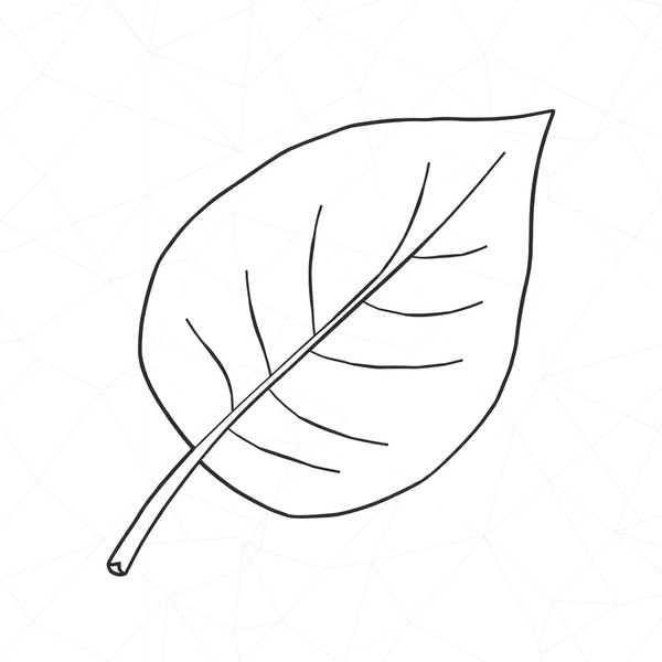 Szablon: Papierowy liść do wycięcia