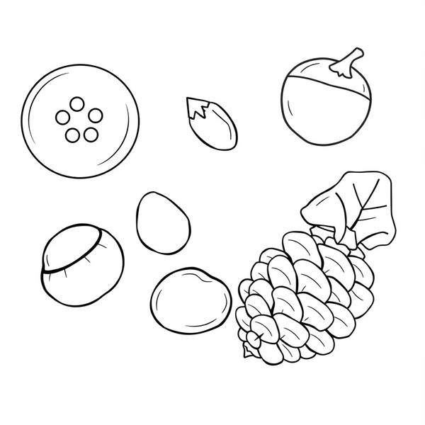 Kolorowanka: guzik i skarby natury