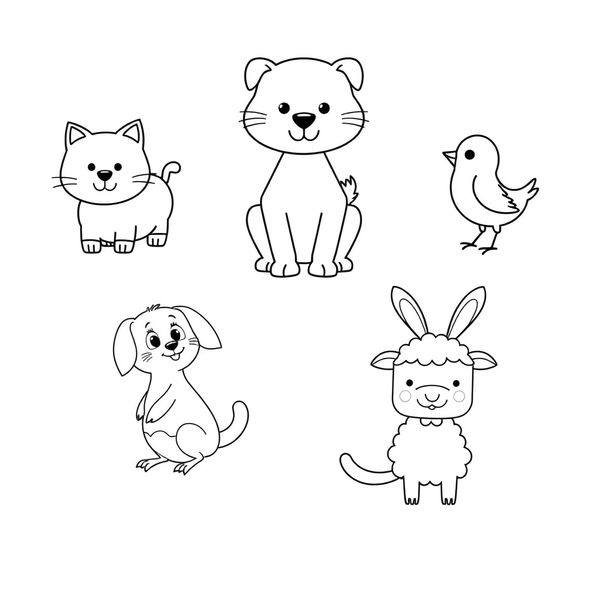 Zestaw kolorowanek — zwierzęta