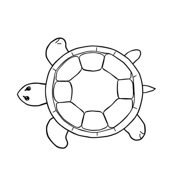 Kontur żółwia — duży arkusz (szablon)