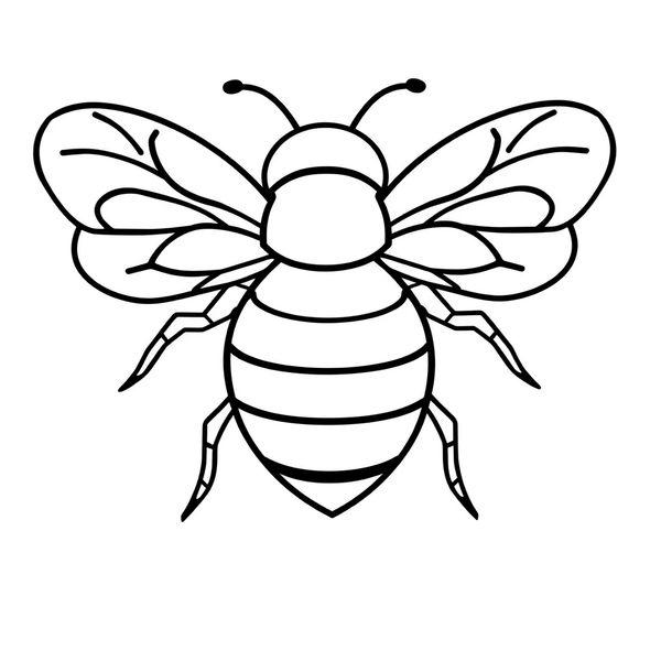Kontur pszczółki — duży szablon do druku