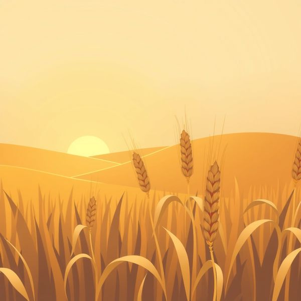 Pole zboża — ilustracja do wprowadzenia