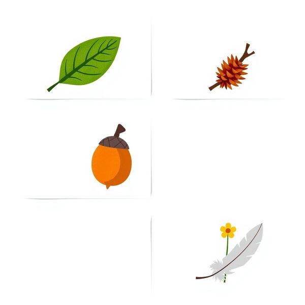 Karty obrazkowe — Zebrane przedmioty (zestaw 6)