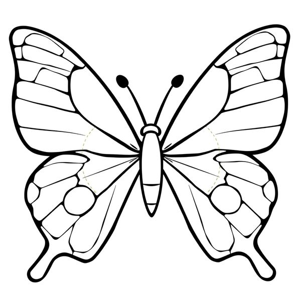 Szablon: skrzydła motyla do wycięcia (A4)