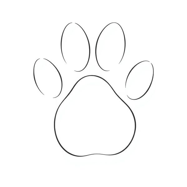 Szablon łapki misia — stempel i odcisk