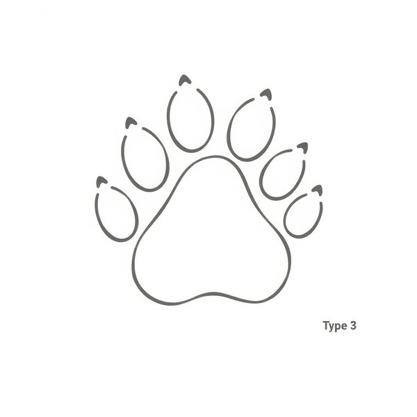 Szablon łapki misia — stempel i odcisk