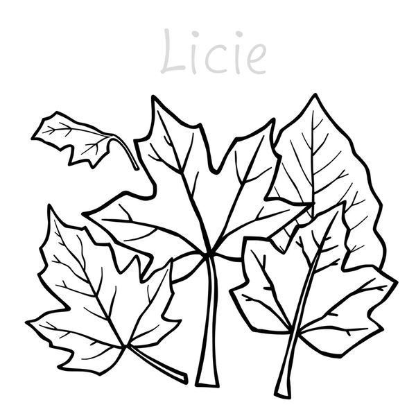 Kolorowanka: kontury liści