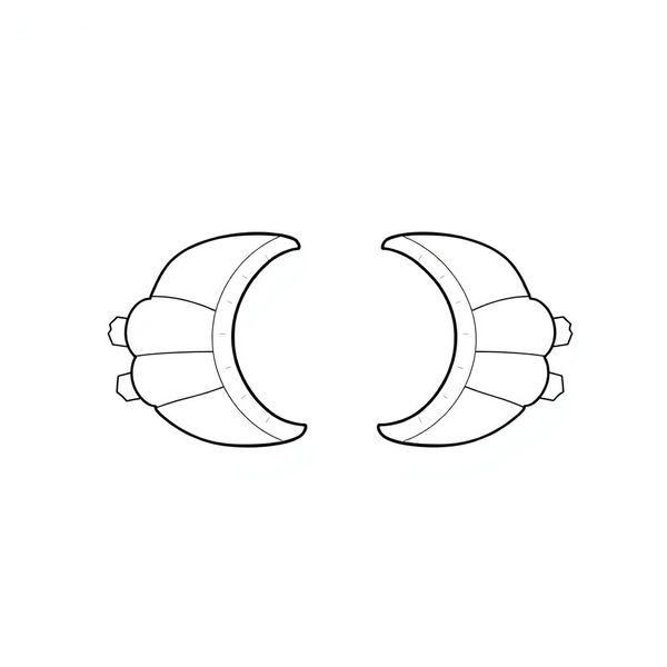 Szablon muszli — połówki skorupy (printable)