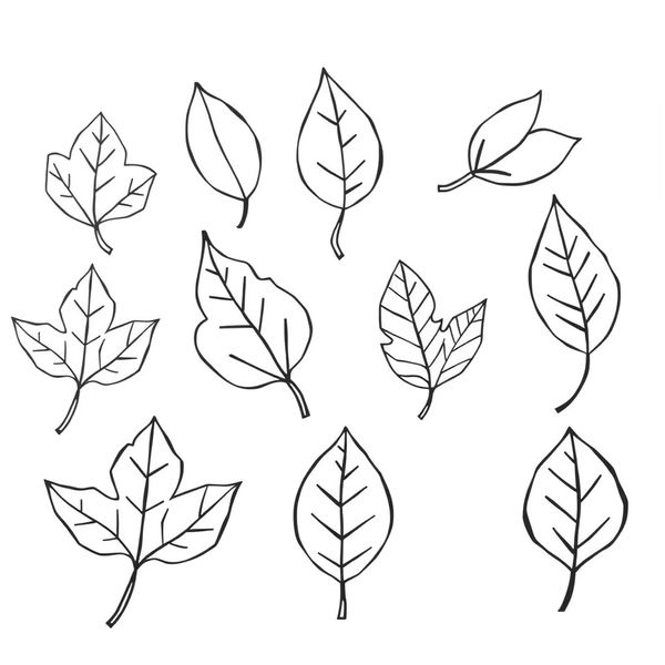 Szablony papierowych liści