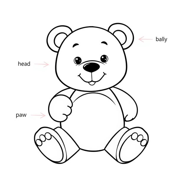 Kolorowanka: Części ciała misia — nauka nazw